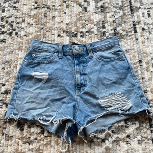 BDG Denim Girlfriend High Rise Shorts‎ Sz 27